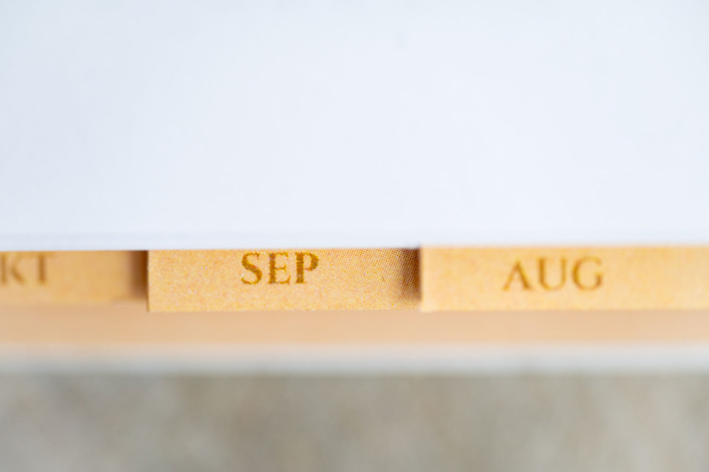 Daily Planner for Woman 2026 - A5